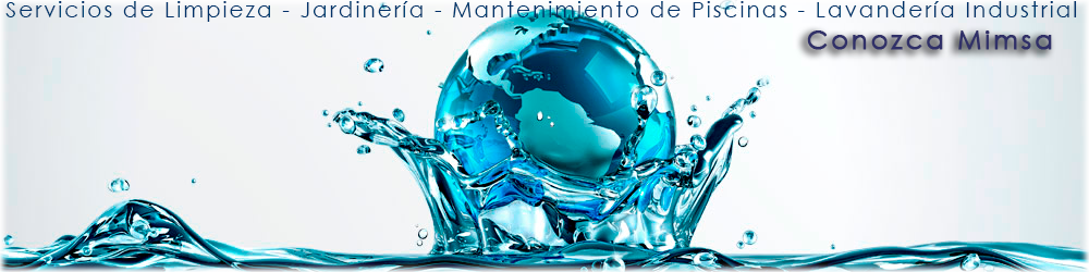 cabecera mimsa